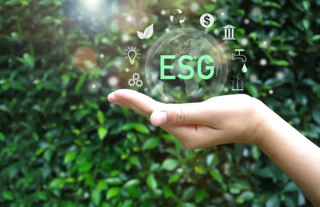 Sabiana S.p.A  s'engage pour un avenir durable et responsable avec le lancement du Projet ESG