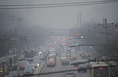 Novembre ha rilevato temperature eccezionalmente elevate. Scatta lallarme inquinamento.